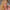 Banner promocional